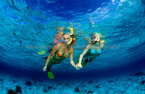 SNORKELING à Bruxelles